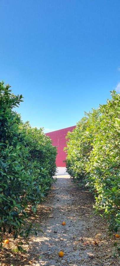 Quinta Dos I'S - Algarve Villa Ferrarias  Екстериор снимка