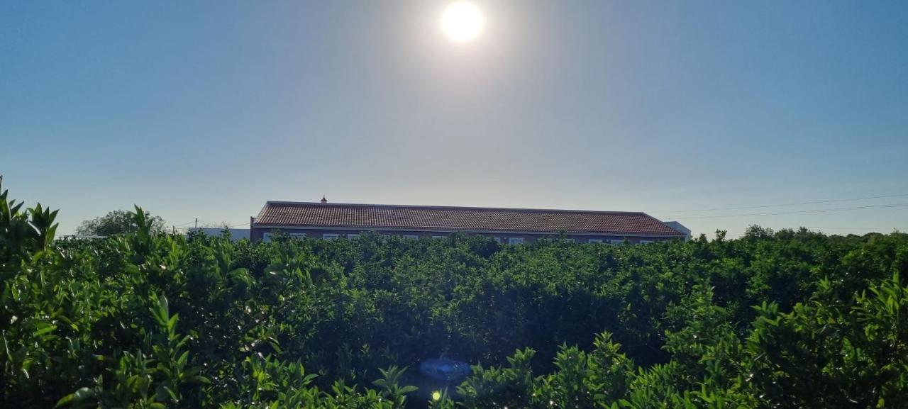 Quinta Dos I'S - Algarve Villa Ferrarias  Екстериор снимка